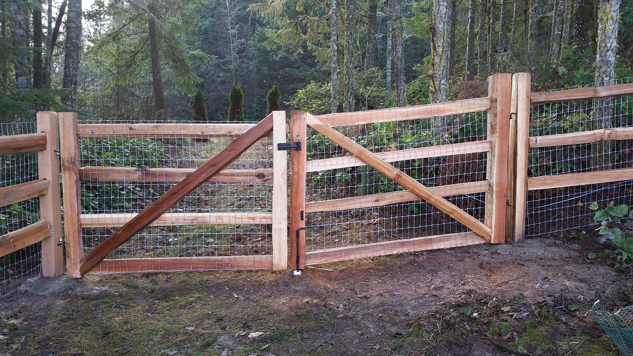 Landscaping Services Image 64