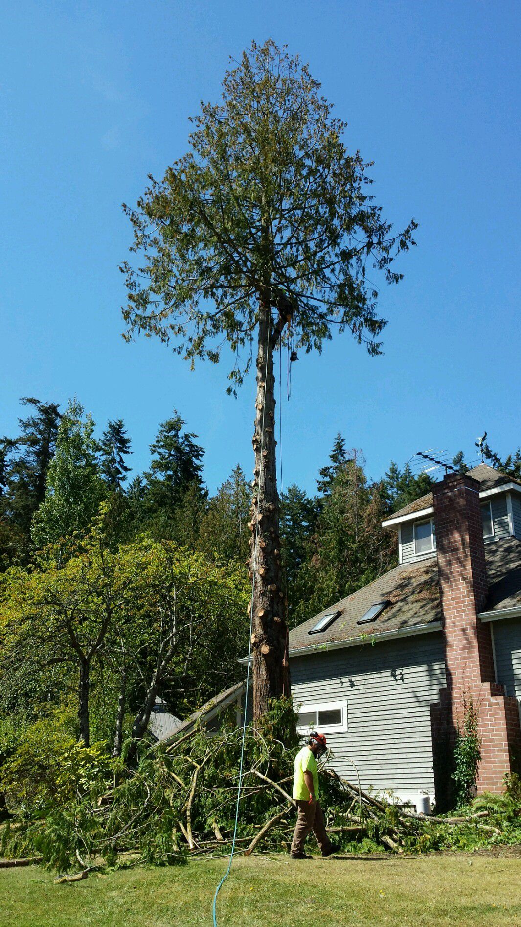 Landscaping Services Image 67